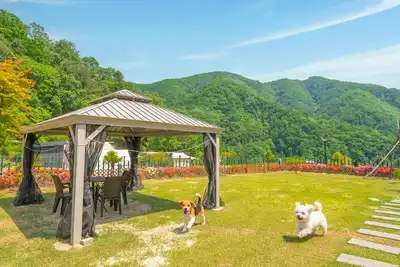 Image de Gapyeong Camp With pet & Aegyeonglamping