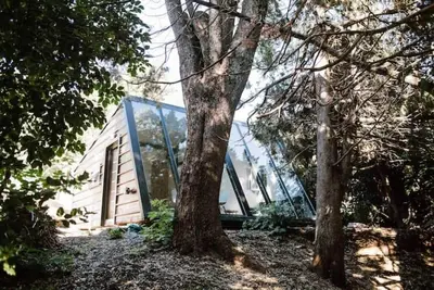 House immersed in the Forest