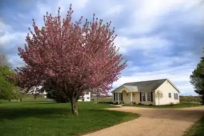 Image de Adorable Manor Cottage on West Manor Estate in Forest, Virginia.