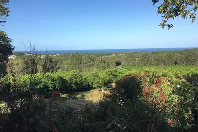 Image de Bungalow au milieu des clémentiniers face à la mer