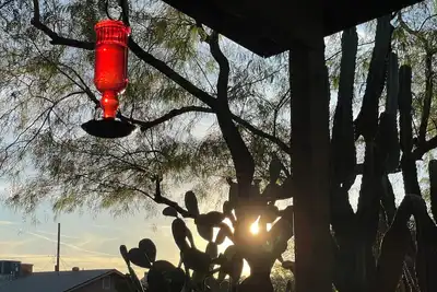 North Mountain home by trailheads