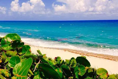 Image de Cozy Coastal Cottage - Sabal Palm Cottage