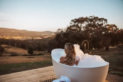 Image de Tiny Ikigai Summary: