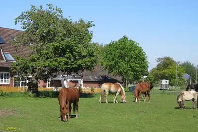 Image de Ferienwohnung 1 mit Einem Schlafzimmer in Ruhiger Idyllischer Lage, Nordseenähe