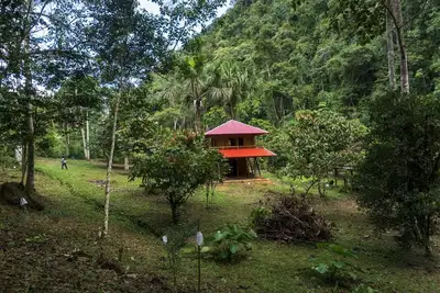 Image de Cabaña Familiar en el Bosque Amazónico. Ideal Para Desconectar de la Tecnología