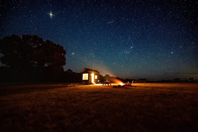 Image de Tiny Elliott Summary: