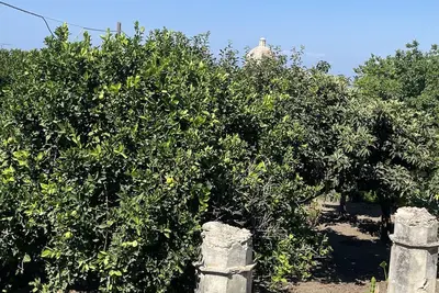 Image de An oasis of comfort with private parking within walking distance of downtown Tropea.