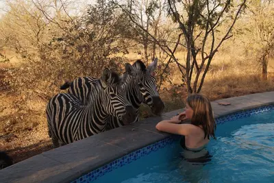 Image de Luxe Afrikaanse bushvilla met verwarmd zwembad (grenst aan zuiden Krugerpark)