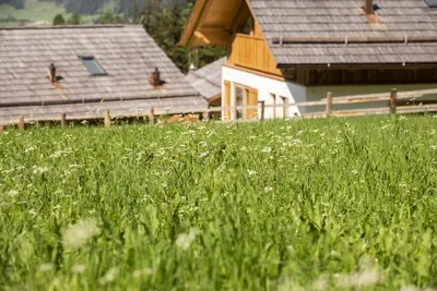 Image de Lerchpeuntgut