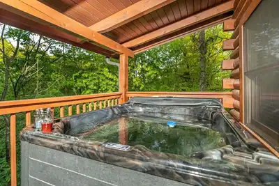 Image de Cabin next to Douglas Lake with Hot Tub and Multicade