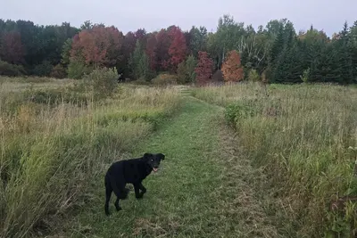Image de Family/pet-friendly home on working farm. Country setting, yet close to town!