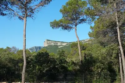 Image de L'Asphodele Blanche au cœur du Pic Saint Loup