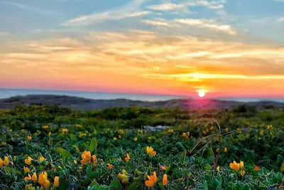 Image de The abode between Sky & Sea in Gallipoli