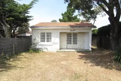 Image de Pétrouchka dans les pins - Saint Hilaire de Riez