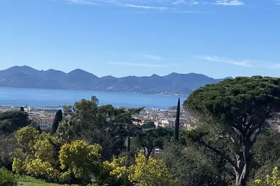 Image de Villa avec piscine et superbe vue, un coin de paradis Cannes