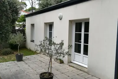 Image de Ti bis indépendant dans un   environnement de Pins.