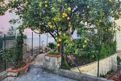 Image de appartement 2 pièces jardin Menton