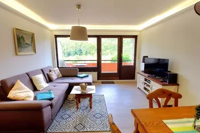 Image de Harz with dog in the mountain town of Lautenthal with breathtaking views