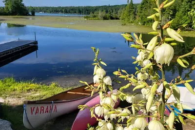 Image de Relax with the whole family at The Varaha. A peaceful cottage facing the lake