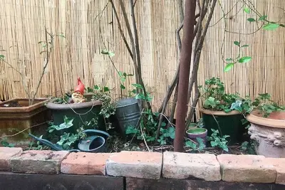 Image de Appartement ancien avec jardin au calme. Charme Xxl. . . Animaux, c'est oui!