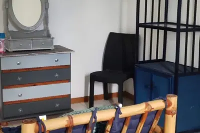 Image de Bougainvillier