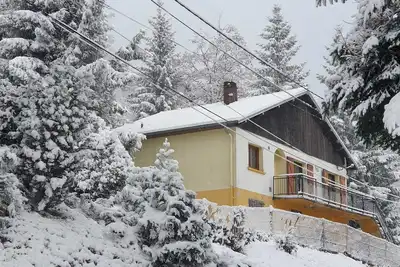 Image de Maison Vosgienne Proche de la Bresse et Gerardmer -  Nature d'automne et d'hiver