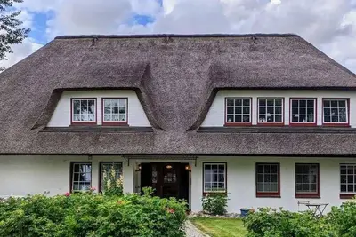 Image de Seestern, Deutschland