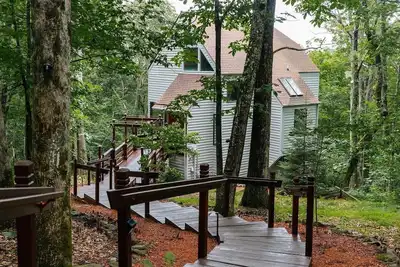 Image de Black Dog Treehouse with Wintergreen Advantage