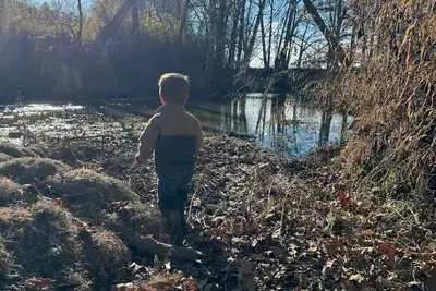 Image de Total Eclipse Rv Site at the base of Petit Jean Mountain in Perry County