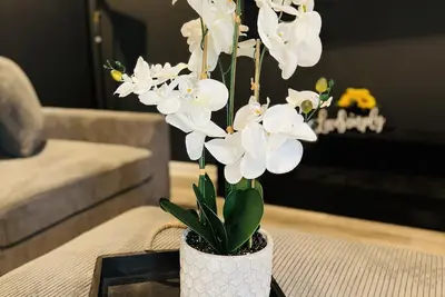 Image de Beautiful Home! 75 in Tv & Wifi for free New Property Close to Downtown.