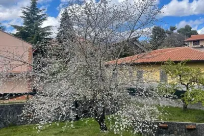 Image de Etna Sotto Il Ciliegio Un Angolo di Paradiso Alle Pendici Delletna