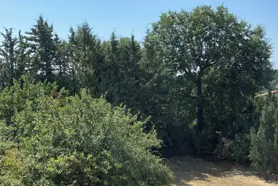 Image de Appartement 3 pièces avec terrasse, dans un cadre de verdure proche centre ville