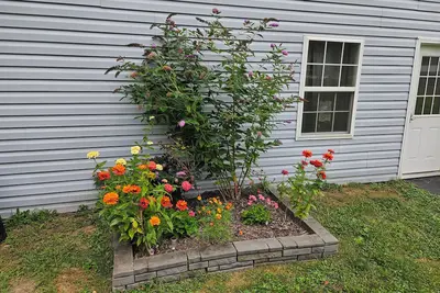 Image de Peaceful and private two bedroom house located in Afton Ny. Family friendly.