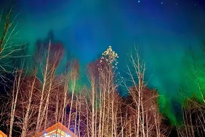 Image de Riverfront, Authentic, Luxury Log Cabin-Bull Moose