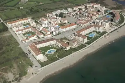 Image de Argonavis 317