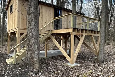 Image de Timber framed tree cabin nestled in the woods.