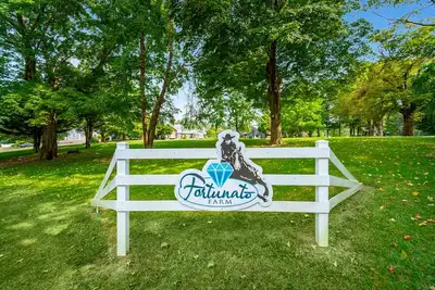 Image de Equestrian Living: It's a lifestyle \"Living on the Farm\" Not your ordinary Stay!