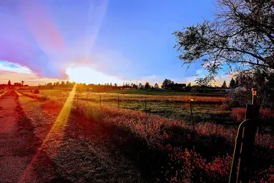 Image de Kay's Suite