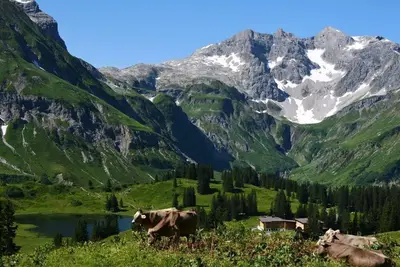 Image de Appartement majestueux à Schröcken