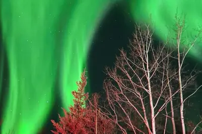 Image de Watch the northern lights from the deck and the jacuzzi! Roast by a cozy fire!