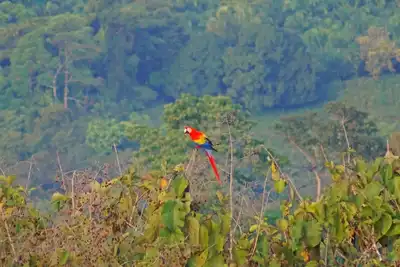 Image de Quiet Jungle House - Just Minutes from Beaches!