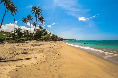 Image de Palm Del Mar - 2 Beach Villas combined 14 Bedrooms