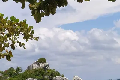 Image de Near Zoo, Arena, and Oak Airport! !