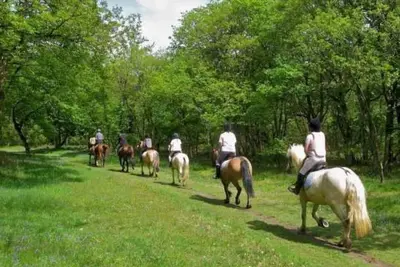 Image de Chalet 4 étoiles - Piscine  - eeecic