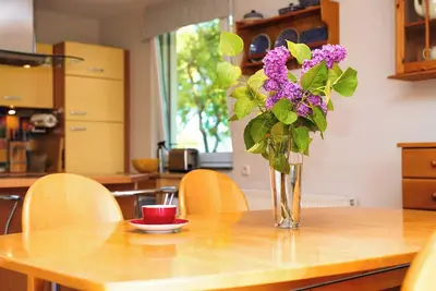 Image de Moderne 3-zimmer Ferienwohnung \"to'n Appelboom\" mit Meerblick zum Achterwasser