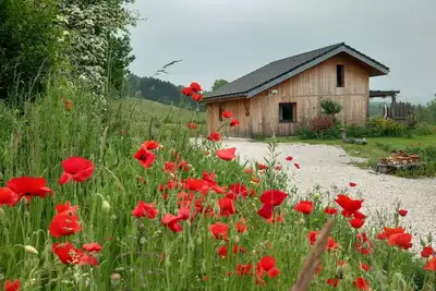Image de L'Abrier éco maison bois proche des lacs et de la nature, calme garanti!