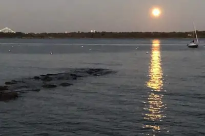 Image de Bonnet Shores Summer Vacation