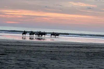 Image de Paloma Blanca Oceanfront 3-bedroom condo in Jacó with Ac, WiFi