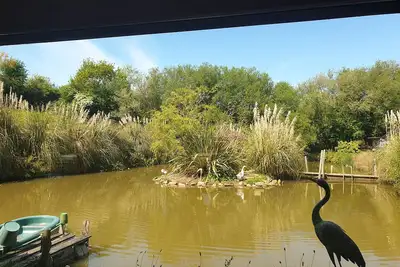 Image de Maison bois ranch pouvant accueillir chevaux, chiens
