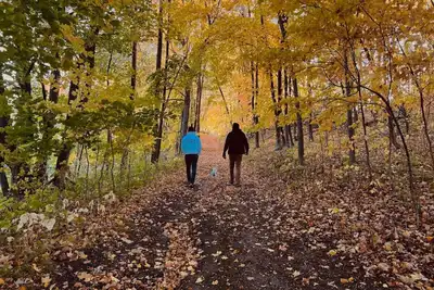 Image de Cottage I | Escape to the Tranquil Beauty at Spitzer Lake! | Legacy Lakeside Resort